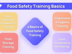 66fc4b58629d95a600408eec_64ba54405f1577bd7a7af25d_Food20TrainingBasics